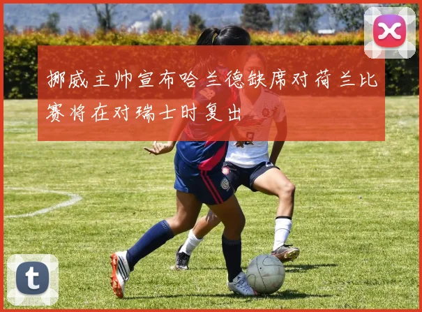 挪威主帅宣布哈兰德缺席对荷兰比赛将在对瑞士时复出